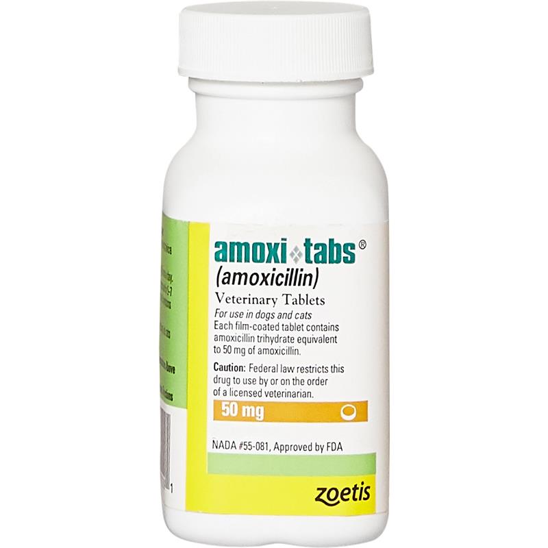 Amoxi-Tabs (Amoxicillin) for Dogs & Cats, 50 mg 1 Tablet