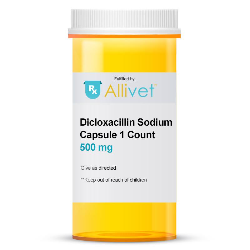 Dicloxacillin Sodium Capsule, 500 mg 1 Count