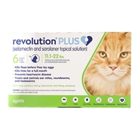 Revolution Plus for Cats 11.1-22 lbs Green 6 Month Supply