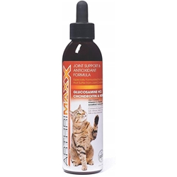 Arthrimaxx Joint Support and Antioxidant Liquid for Cats, 6 oz