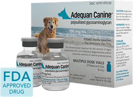 Adequan Canine, 5 mL Vial, Box of 2 Vials | 100 mg/mL Adequan Canine 5 mL Vial - 2 Pack, Adequan canine, Adequan for dogs, Adequan dogs, cheap Adequan, dog arthritis, arthritis in dogs, osteoarthritis, dog arthritis pain relief, joint pain relief, pet meds