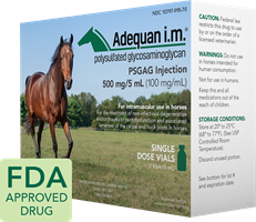 Adequan Equine I.M. 500mg/5ml 7 x 5ml | Box of 7 Vials adequan im 7 vials 5ml treatment non-infectious degenerative traumatic joint dysfunction associated lameness carpal hock joints horses petmeds