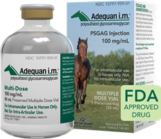 Adequan Equine I.M. Multi-Dose, 100 mg/mL, 50 mL Vial treatment non-infectious degenerative traumatic joint dysfunction associated lameness carpal hock joints horses pet meds
