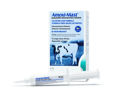 AmoxiMast, 12 Tubes