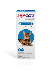 Bravecto Topical Solution for Cats, 6.2 - 13.8 lbs 250 mg (Blue) 