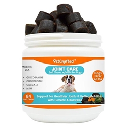 VetCrafted Joint Care Soft Chews with MSM for Large Dogs, 84 ct.