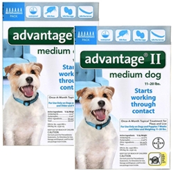 Advantage II for Dogs 11-20 lbs, Teal, 12 Pack