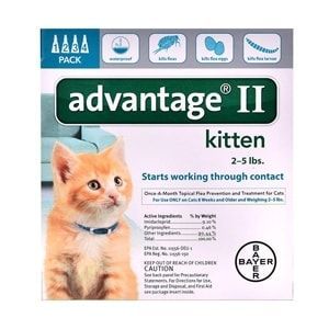 Advantage II for Kittens 1-5 lbs, 4 Pack (Turquoise)
