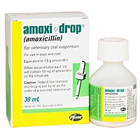 Amoxi-Drops (amoxicillin), 30 mL