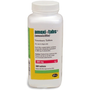 Amoxicillin 200 mg, 500 Tablets