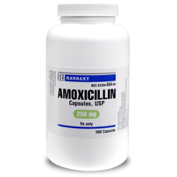 Amoxicillin 250 mg, 500 Capsules