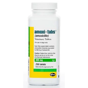 Amoxicillin 400 mg, 250 Tablets