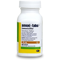 Amoxicillin 50 mg, 500 Tablets