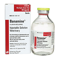 Banamine (Flunixin Meglumine) Injectable, 50 mg/mL, 250 mL