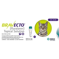 Bravecto Topical Solution for Cats, 2.6 - 6.2 lbs 112.5 mg (Green) 