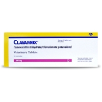 Clavamox 250 mg, One Tablet