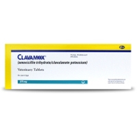 Clavamox 375 mg, One Tablet
