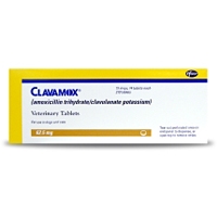 Clavamox 62.5 mg, One Tablet