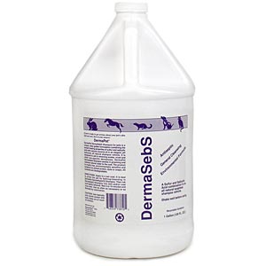 DermaBenSs Soapless Shampoo with Moisturizers, Gallon