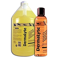 DermaLyte Shampoo, Gallon