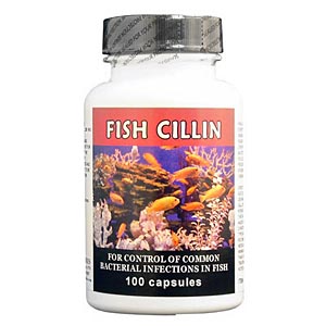 Fish Cillin (Ampicillin) 250 mg, 100 Capsules