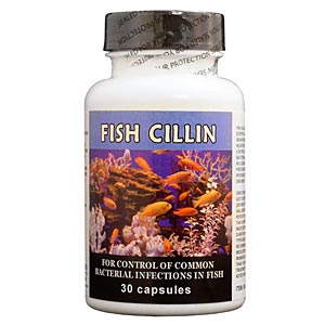 Fish Cillin (Ampicillin) 250 mg, 30 Capsules