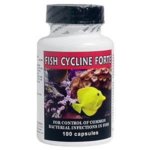 Fish Cycline Forte (Tetracycline) 500 mg, 100 Capsules