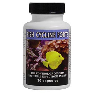 Fish Cycline Forte (Tetracycline) 500 mg, 30 Capsules