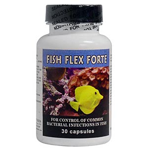 Fish Flex Forte (Cephalexin) - 500 mg 30 Capsules