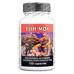 Fish Mox (Amoxicillin) 250 mg, 100 Capsules