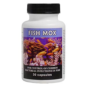 Fish Mox (Amoxicillin) 250 mg, 30 Capsules