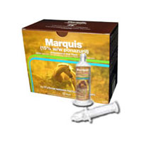 Marquis Antiprotozoal Oral Paste, 127 gm, 4 Syringes