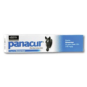 Panacur EQ Dewormer 10%, 25g