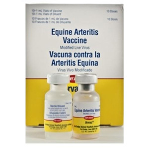 Arvac Equine Arteritis Vaccine 10 dose (10 x 1 mL)