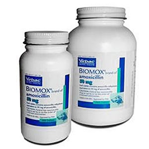 Biomox 100 mg, 1000 Tablets (amoxicillin)