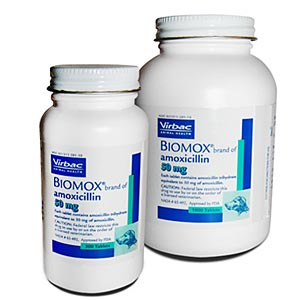 Biomox 50 mg, 1000 Tablets (amoxicillin)