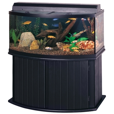 Bowfront Popular Stand 72 Gal