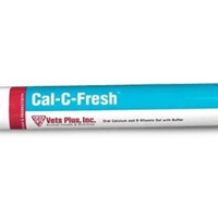 Cal-C-Fresh Gel, 365 gm