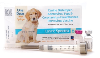 Canine Spectra 6, Single Syringe