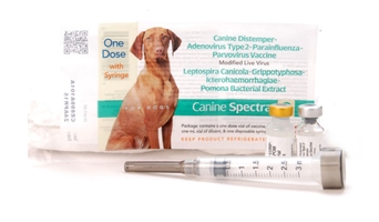 Canine Spectra 9, Single Syringe