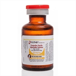 Carprofen Injection 50 mg/ml, 20 ml 