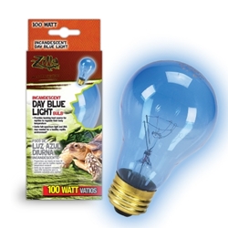 Day Blue Incandescent Bulb 100W Boxed