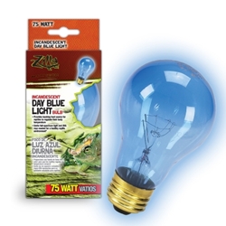Day Blue Incandescent Bulb 75W Boxed