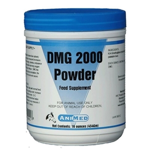 DMG Pure Powder, 16 oz
