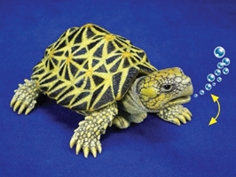 Eshopps Indian Star Turtle Aquarium Bubbler