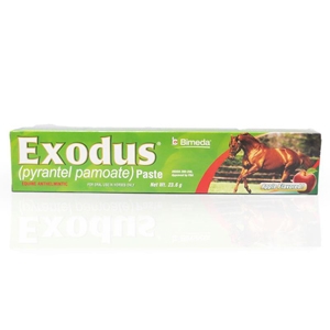 Exodus Anthelmintic Paste for Horses, 1 Oral Syringe