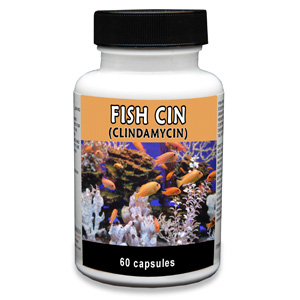 Fish Cin (Clindamycin) 150 mg, 60 Capsules