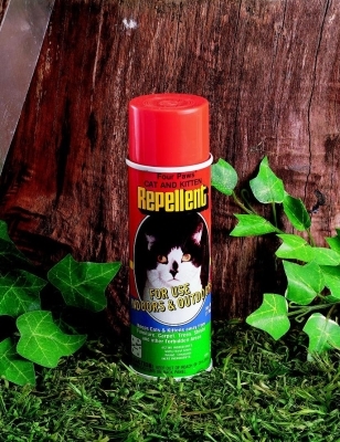 Four Paws Indoor &amp; Outdoor Repellent for Cats &amp; Kittens, 6 oz