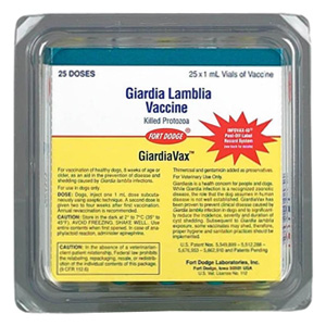 Giardia vax vaccine