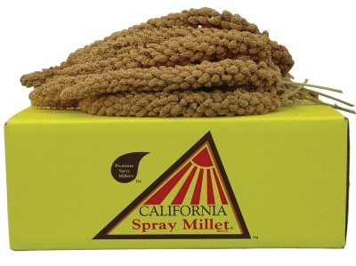 Golden Farms California Golden Spray Millet Birdseed, 5 lbs